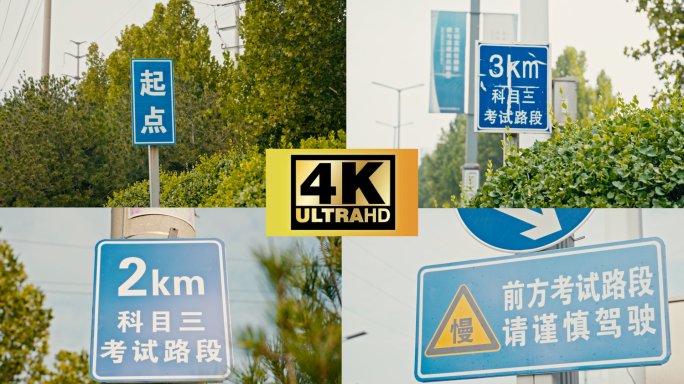 科目三驾校考试路面指示牌