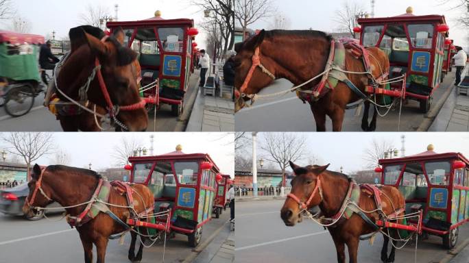 曲阜景区 马车