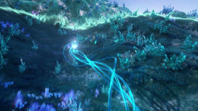 【原创】C4D水晶花生长场景