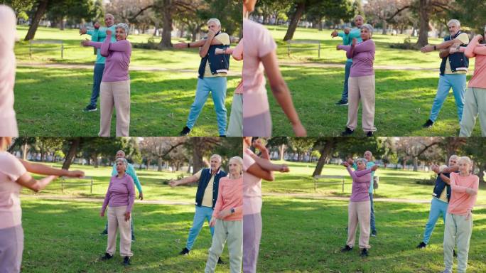 私人教练，高级和班级与团体在大自然的草地上伸展，锻炼或健身。积极指导老年人在户外公园进行热身、锻炼或