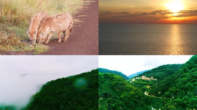 水 自然风光 自然