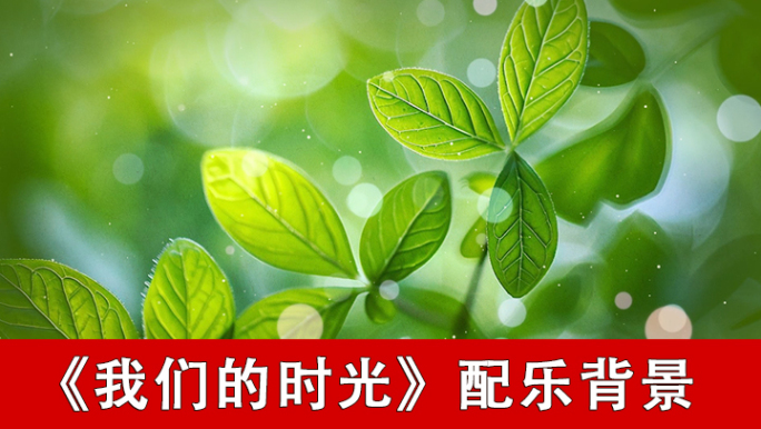 我们的时光-配乐背景