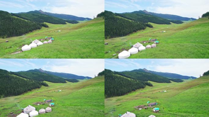 新疆北疆阿勒泰河谷草原夏牧场航拍