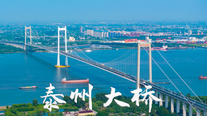 泰州大桥延时航拍