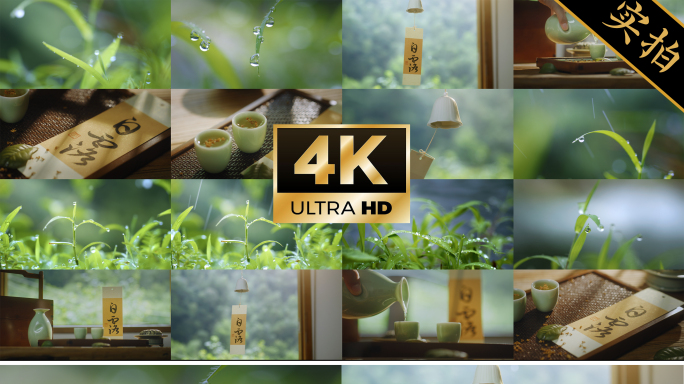 露珠晨露特写白露书法秋天露水节气视频素材