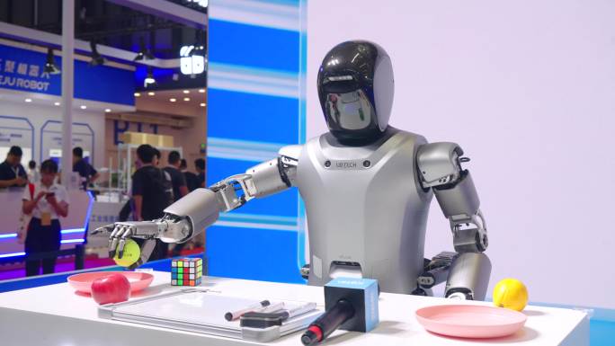 2024世界机器人大会 人工智能 机器人
