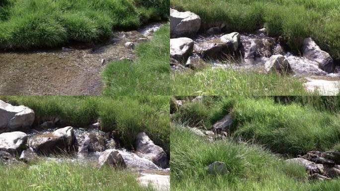天山深处的草地溪流