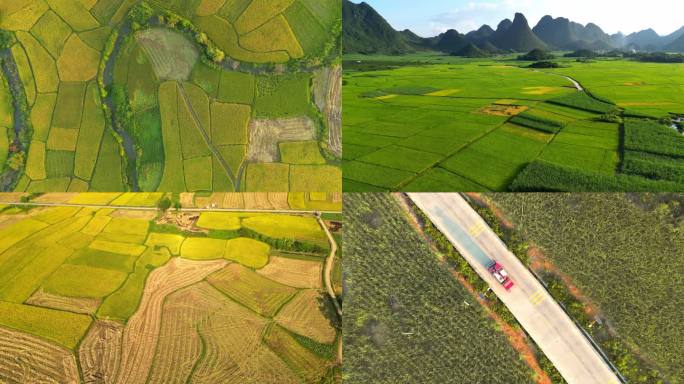 稻田麦田丰收收割收割机农业