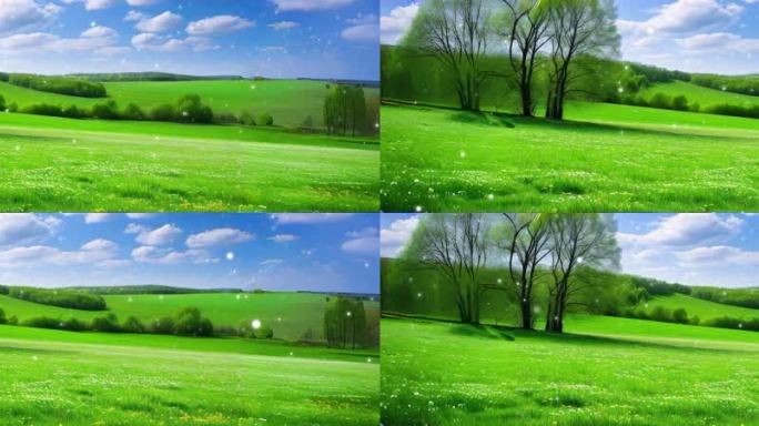 宽屏春日里万物复苏的翠绿田野