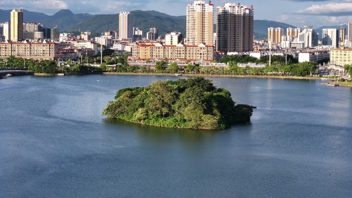 群鸟在瑞丽市弄莫湖鸟岛上空飞行