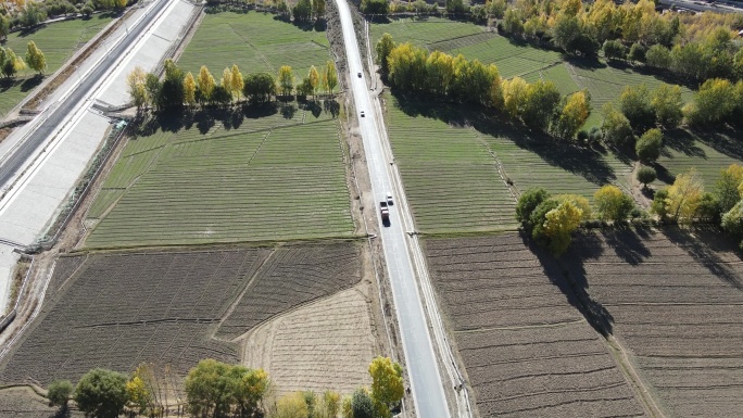 秋天雅鲁藏布江畔田野和乡村公路