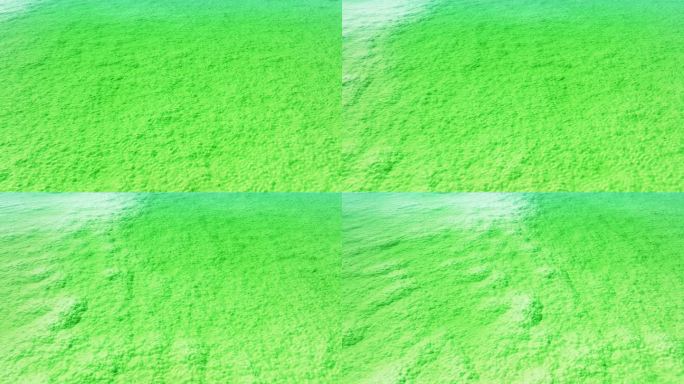 阳光下青海察尔汗盐湖透明水下的绿色结晶体