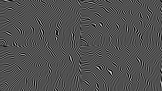 一种黑白条纹的背景，由上下对角线排列的移动的、缠绕的线条组成。动画抽象背景可以横向和纵向使用。