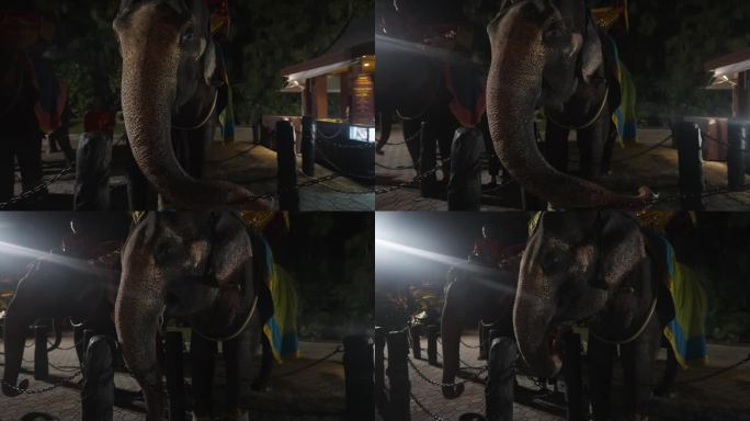 幻多奇乐园 泰国 普吉岛 泰国旅游 风景