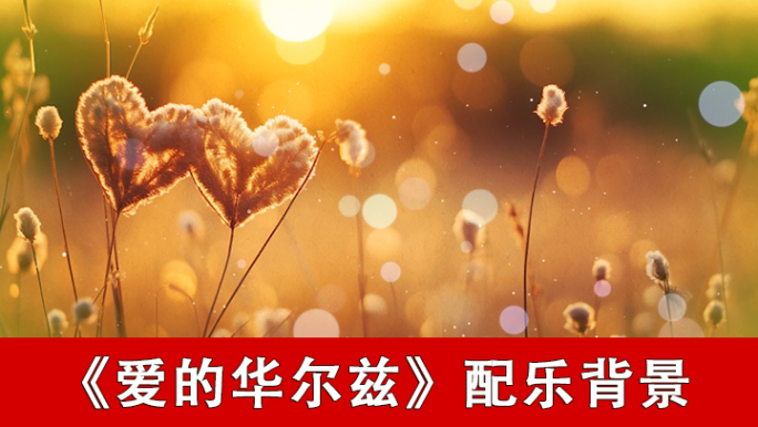 爱的华尔兹-配乐背景