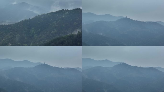南方阴雨云雾山地森林