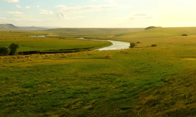 草原河边的牛群自然风光风景