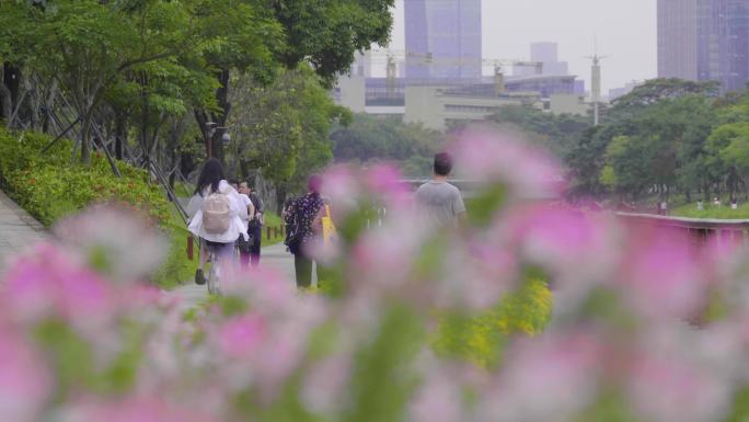 公园绿道 河道清理 地铁穿梭 都市人文