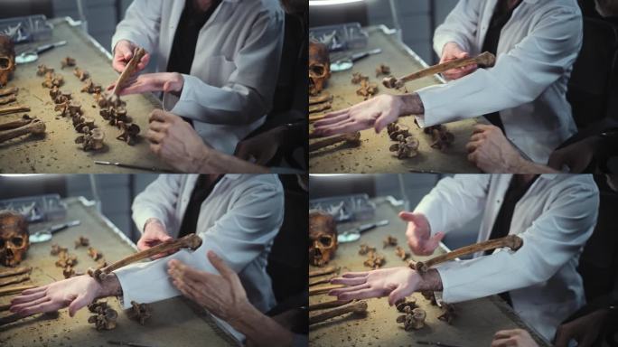 两位考古学家检查史前人类骨骼化石