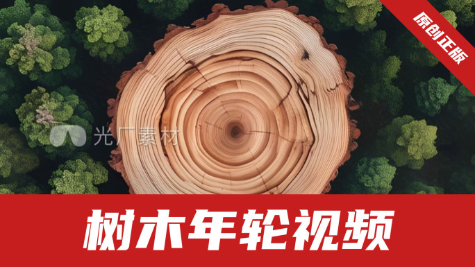 年轮树木