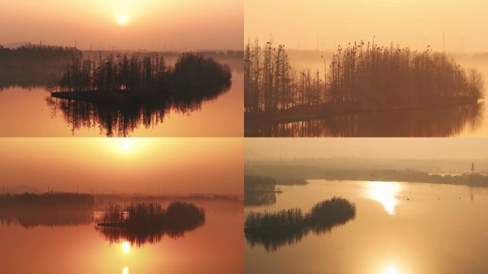 武汉东湖鸟岛 航拍东湖鸟岛  夕阳 群鸟