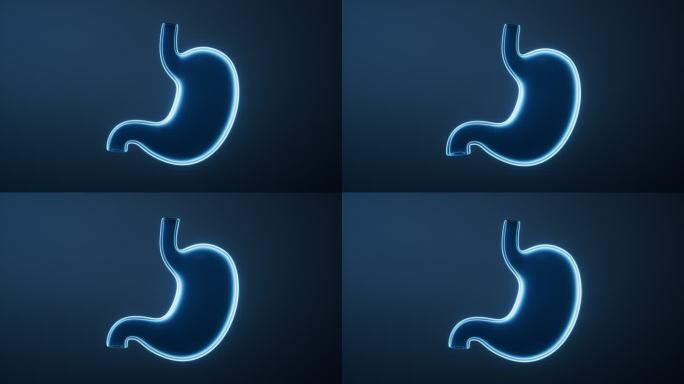 透明生物医学胃部器官循环动画三维渲染