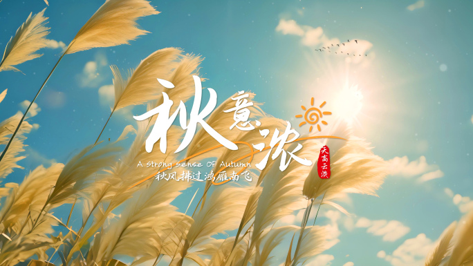 秋天风景秋天景色秋意浓