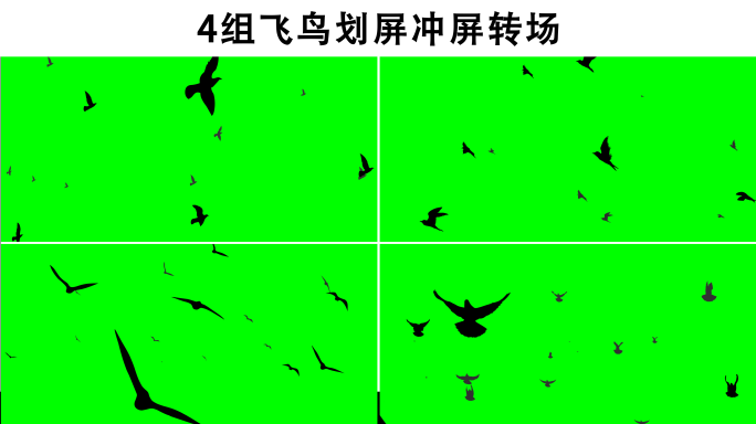 【4组】飞鸟划屏冲屏转场