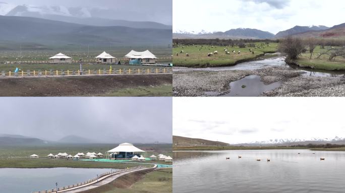 桑科草原 夏河湿地公园 湿地 生态 甘南