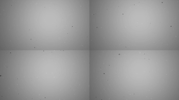 背景浮动动画粒子在白色