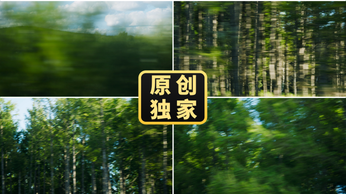 车窗外快速移动模糊的树叶时间流逝光阴似箭