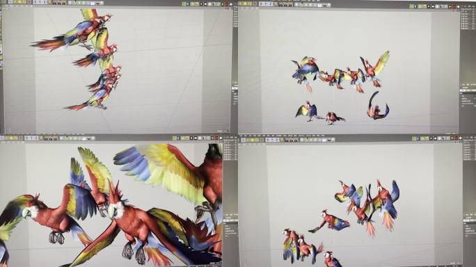 鹦鹉鸟3d模型C4D骨骼绑定动画