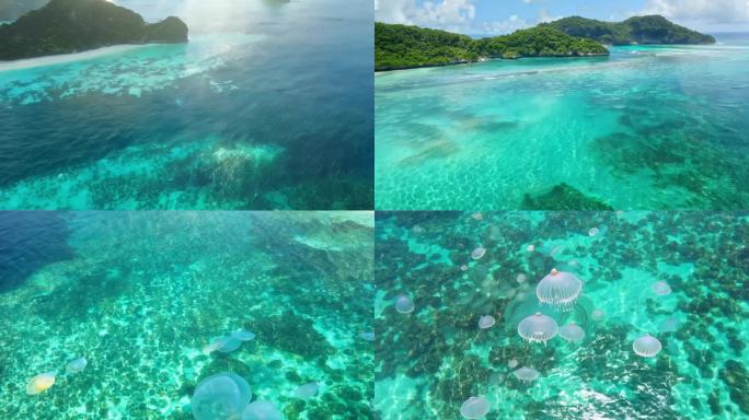 大海果冻海航拍 清澈见底 碧水蓝天