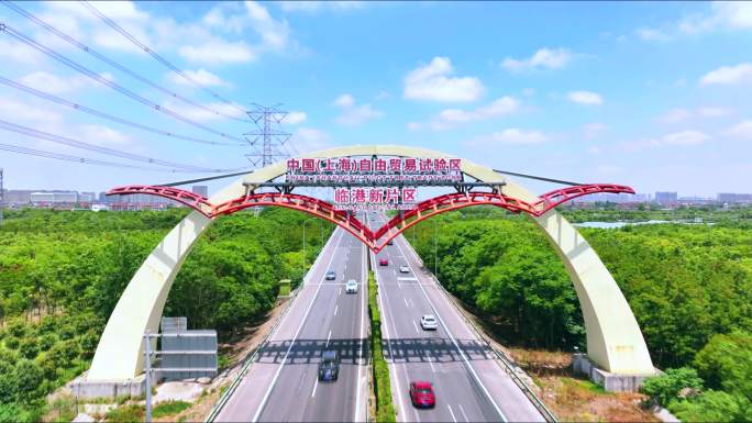 临港自贸区 临港新片区  海鸥门地标建筑