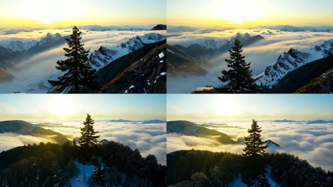 黄山迎客松日出云海雪景风景航拍