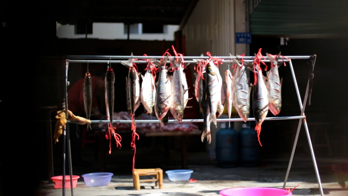 农村院子里晒鲢鱼