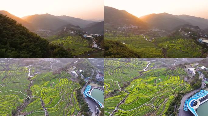 覆卮山 油菜花 日出