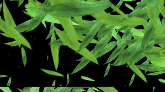 两款竹叶转场带通道 ae模板加视频