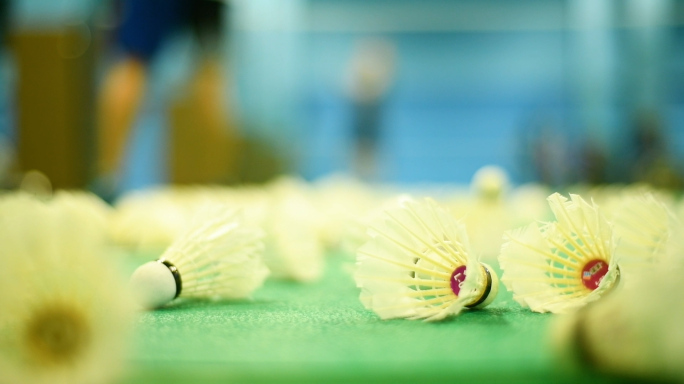 羽毛球馆休闲健身羽毛球教学练习锻炼运动