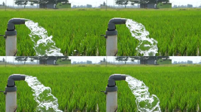 利用泵井灌溉稻田，将水从地下抽到稻田中。从灌溉渠系统抽水的泵站。