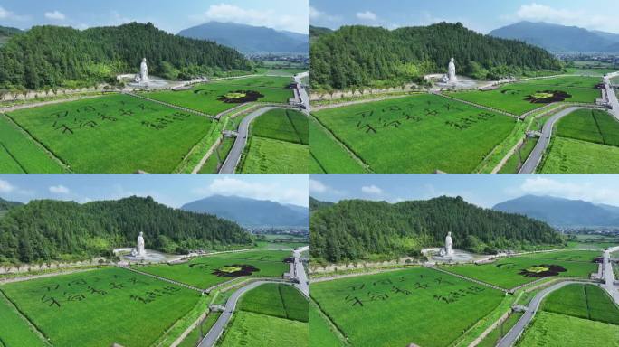 4K 农业种植 水稻田 五夫 袁隆平题字