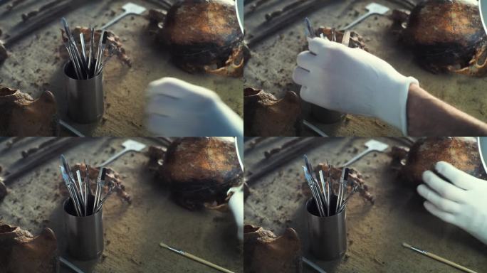 近距离的专业实验室仪器和史前人类的头骨