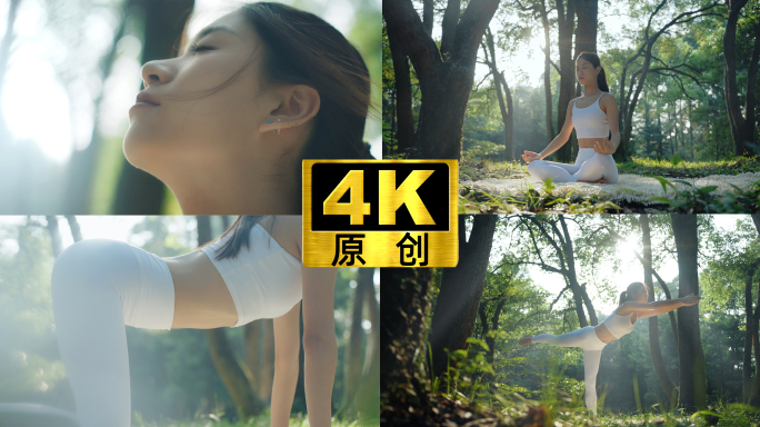 清晨晨雾森林瑜伽氧气清新美女户外自然瑜伽