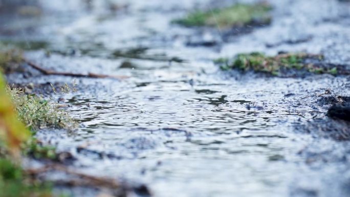 雨水滴落在地上，形成水坑和涟漪