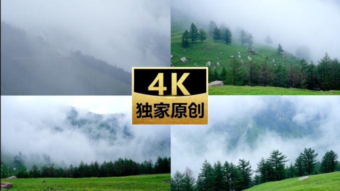 山间迷雾