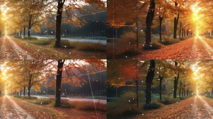 宽屏秋风轻拂下落叶满径的黄金大道