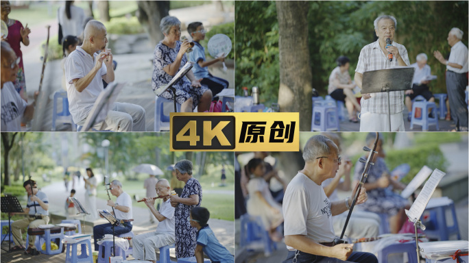 公园夕阳红弹奏唱歌聚会退休老人老年团