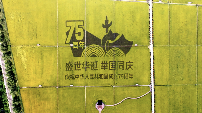 五常稻田画庆祝成立75周年