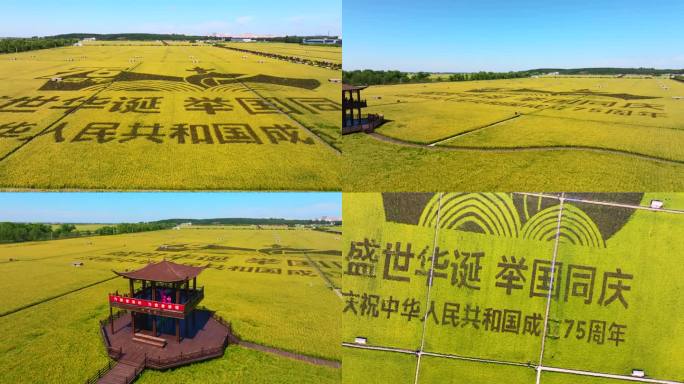 五常稻田画庆祝成立75周年