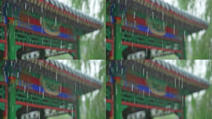 暴雨 河北省沧州市南川老街